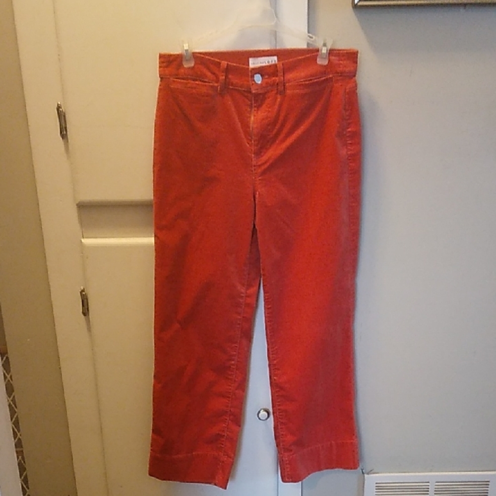 LOFT Rust Orange Velour Pants